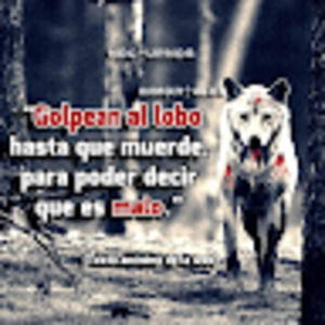 Meet your Posher, Bryan